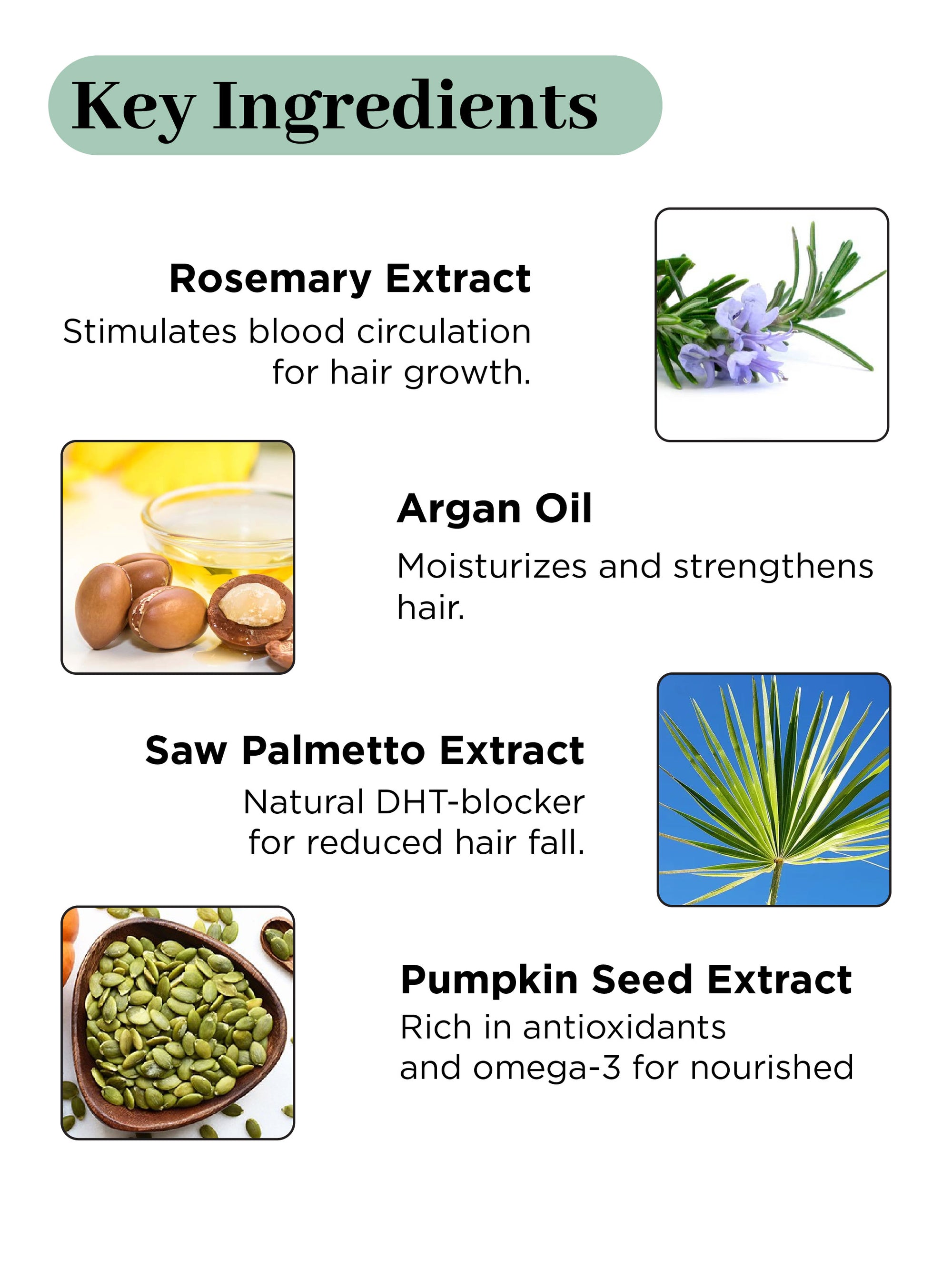 BioBird Rosemary Hair Growth Oil - 100ml