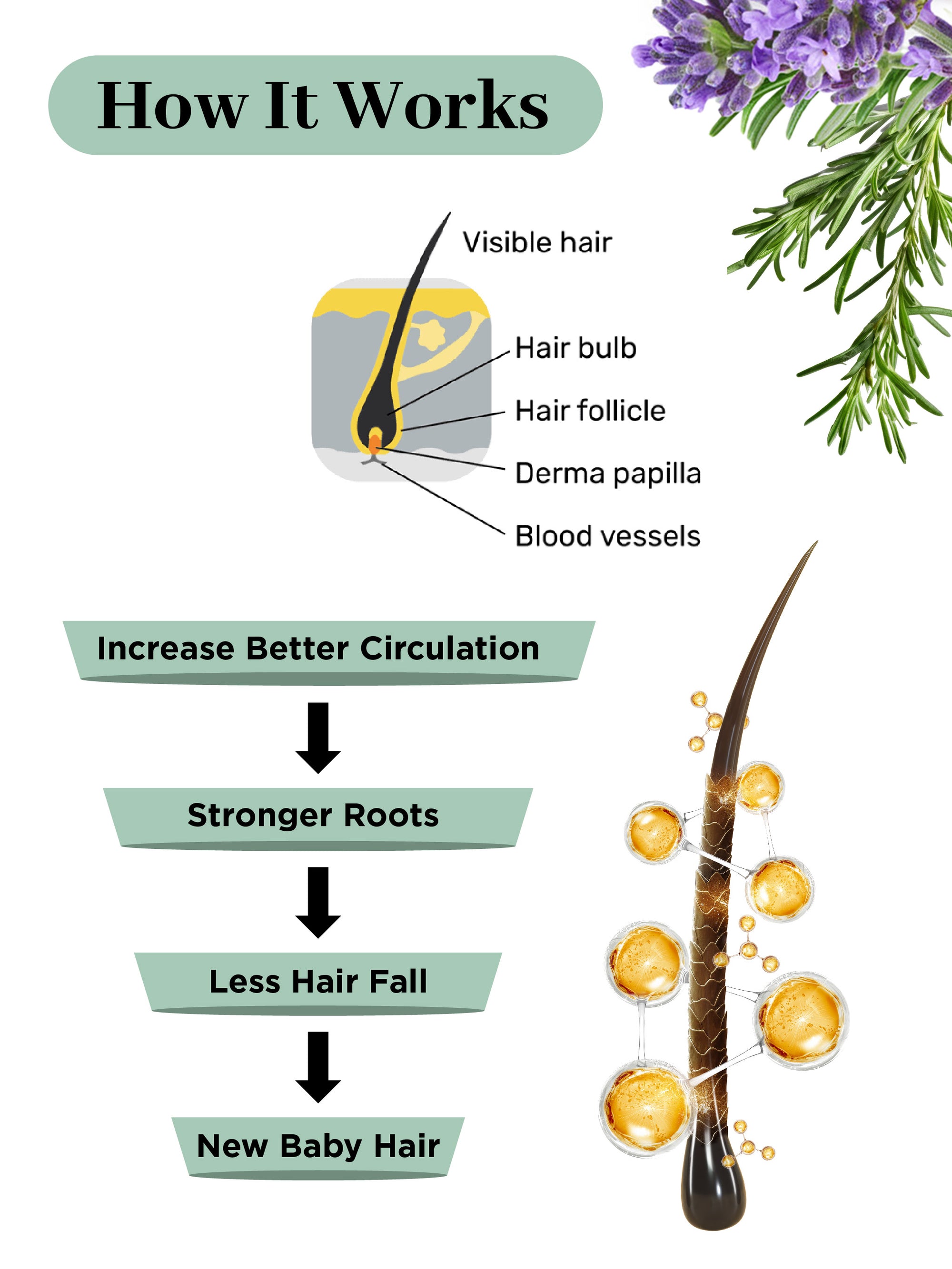 BioBird Rosemary Hair Growth Oil - 100ml