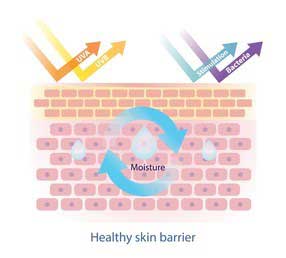 healthy-skin-barrier-biobird