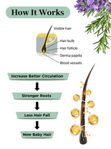 Rosemary Hair Growth Oil - 100ml