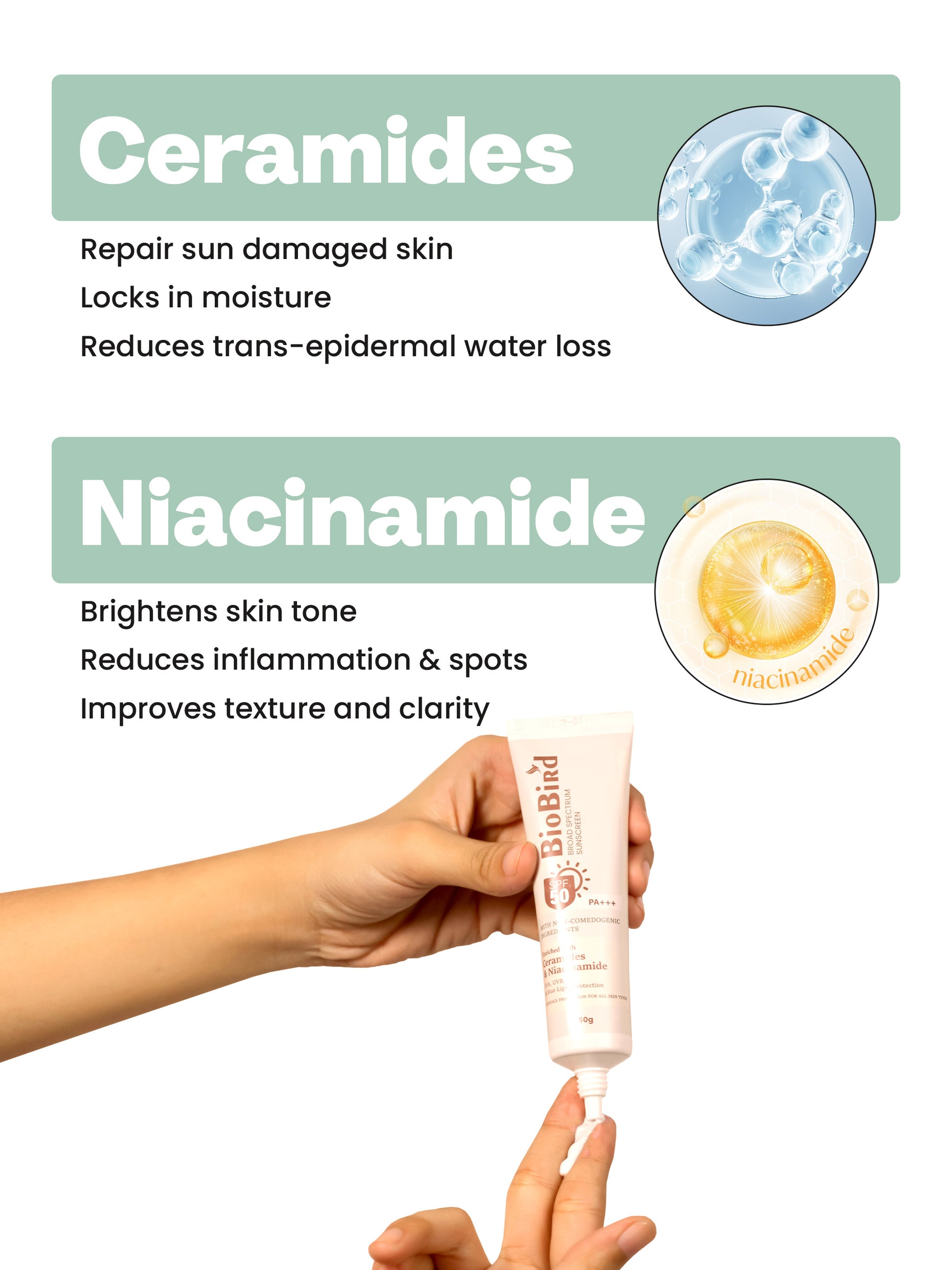 BioBird Sunscreen SPF 50 PA+++ | No White Cast | With Niacinamide & Ceramides