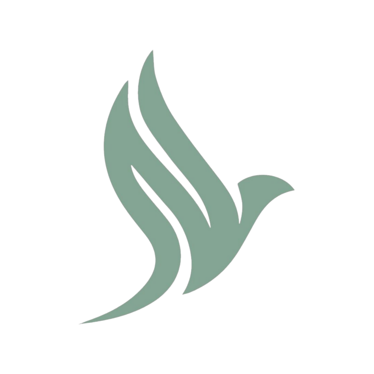 BioBird
