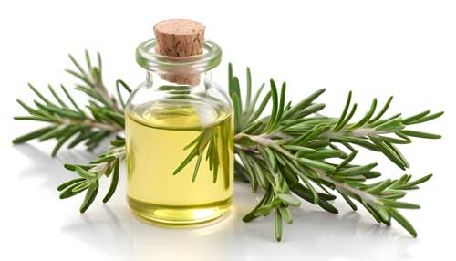 rosemary-hair-oil-bottle-with-applicator-biobird